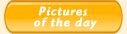Button pictures of the day