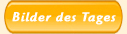 Button Bilder des Tages