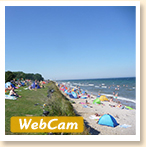 Button Webcam