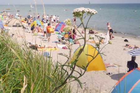 Ostseestrand mit Besuchern