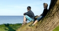 Jungen sitzen auf Baum und schauen auf die Ostsee