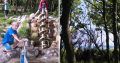Collage mit Kindern im Abenteuerwald und Bäumen
