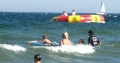 In der Ostsee schwimmende Gäste