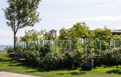 Außenbereich Bistro