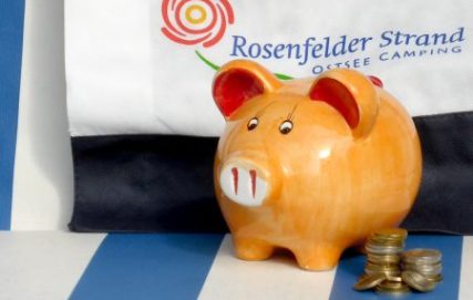 Sparschwein mit Münzen im Strandkorb